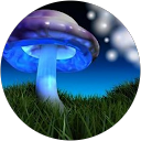 carla andrade profile picture